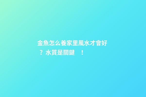 金魚怎么養家里風水才會好？水質是關鍵！